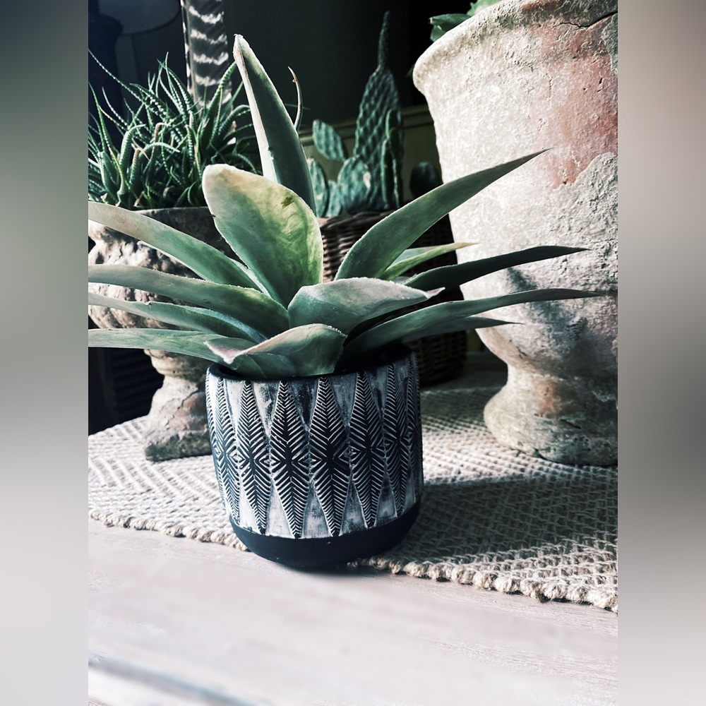 Hand Painted Clay Pot Black and White Feather Pattern - 4.5 Inch